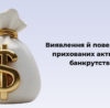 Виявлення та повернення прихованих активів у банкрутстві